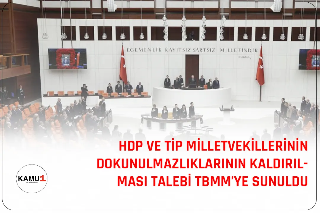 Cumhurbaşkanlığı, HDP İstanbul milletvekilleri Hüda Kaya ve Musa Piroğlu ile TİP Hatay Milletvekili Barış Atay Mengüllüoğlu'nun dokunulmazlıklarının kaldırılması talebiyle bir fezleke hazırlayarak TBMM'ye sundu.
