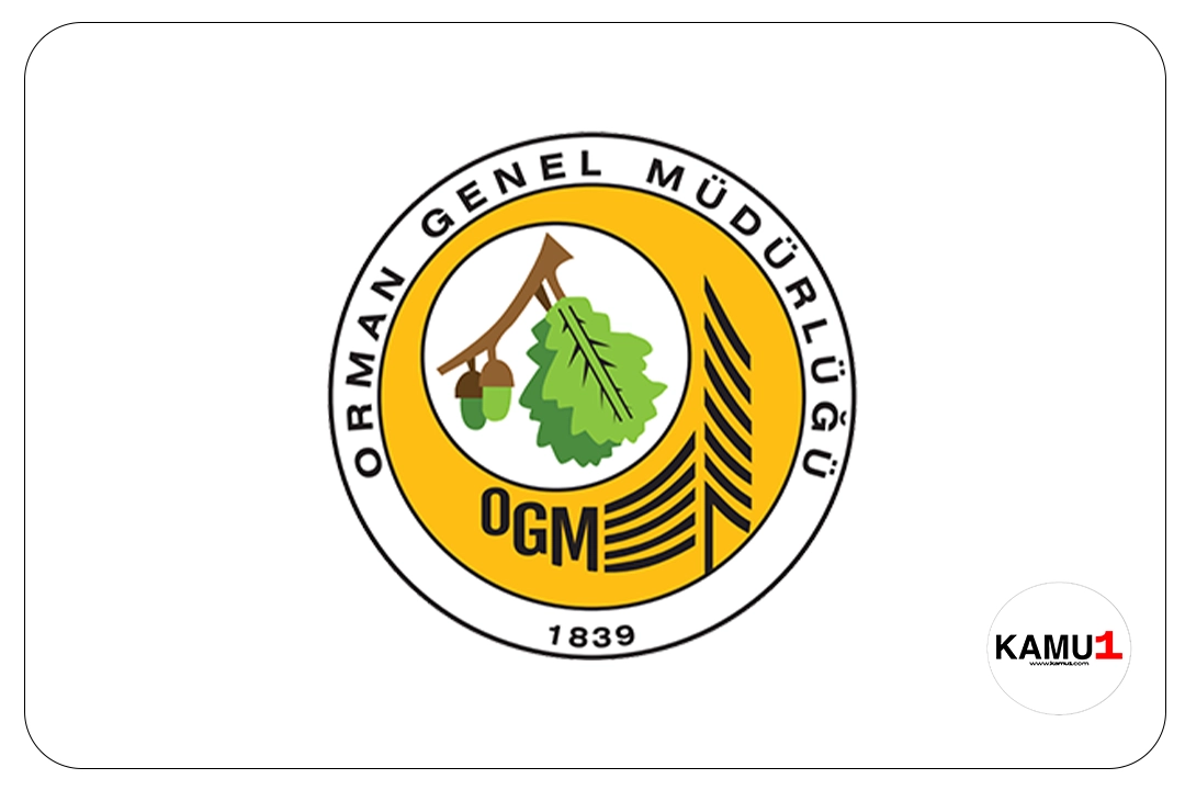 Orman Genel Müdürlüğü (OGM) 124 Personel Alacak. Resmi Gazete'de yayımlanan duyuruya göre, OGM'ye avukat, koruma ve güvenlik görevlisi, destek personeli(şoför), mühendis, tekniker(uçak bakım), büro personeli(grafiker) ünvanlarında yazılı ve/veya sözlü sınav yapılmaksızın, KPSS (B) grubu puan sıralaması esas alınmak suretiyle sözleşmeli personel alımı yapılacak.