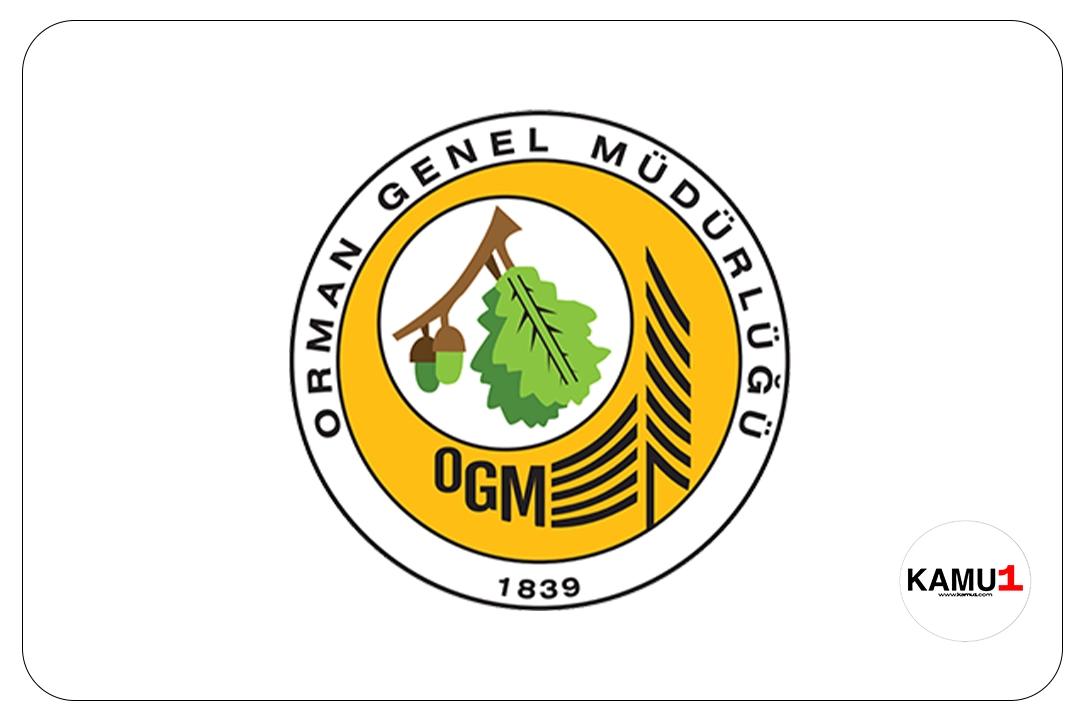 Orman Genel Müdürlüğü (OGM) 124 Personel Alımı Başvurusu 16 Nisan'da Başlıyor.Resmi Gazete'nin 6 Nisan tarihli yayımlanan duyurusuna göre, OGM'ye avukat, koruma ve güvenlik görevlisi, destek personeli(şoför), mühendis, tekniker(uçak bakım), büro personeli(grafiker) pozisyonları için yazılı ve/veya sözlü sınav yapılmaksızın, KPSS (B) grubu puan sıralaması esas alınmak suretiyle sözleşmeli personel alınacak. Başvuru yapacak adayların genel şartların yanı sıra, her ünvan için belirtilen özel şartlar da sağlaması gerekmektedir. Başvuru ekranı açılınca bildirimle haberdar olmak için TIKLA TAKİP ET.